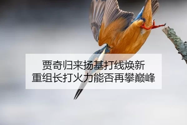 贾奇归来扬基打线焕新 重组长打火力能否再攀巅峰